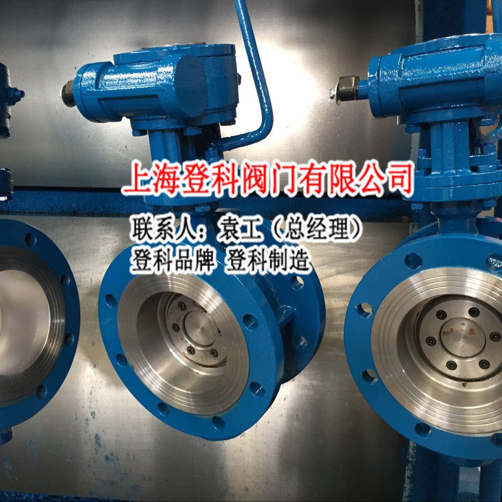 BD341H-25C DN500保温蝶阀 偏心蝶阀 法兰铸钢 WCB