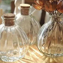 木塞小口南瓜花瓶 植物水培 许愿瓶 复古漂流瓶 玻璃瓶  香薰瓶