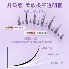 Beauty Creative One-Size False Eyelashes with Natural Curled Fairy Hair, Entirely Sown Transparent Stems Eye Lashes