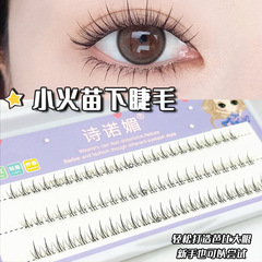 詩諾媚小火苗下睫毛透明梗單簇自然漫畫芭比眼分段式裸妝假睫毛