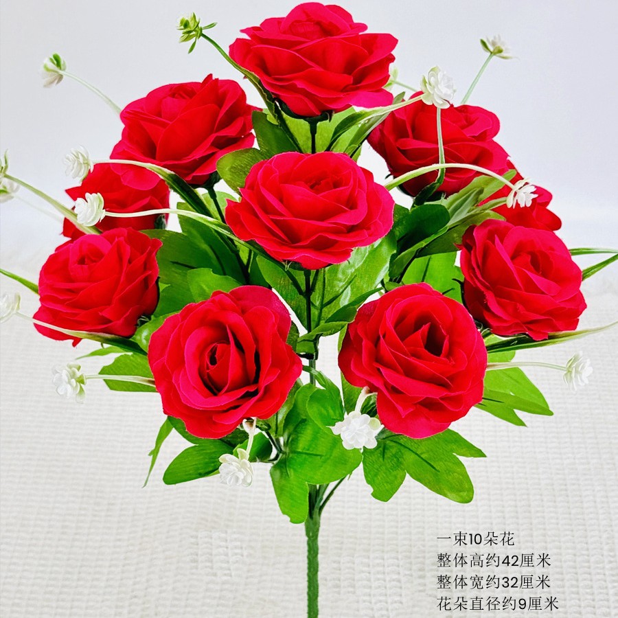 10 rosas arcoíris rojas rosas puras