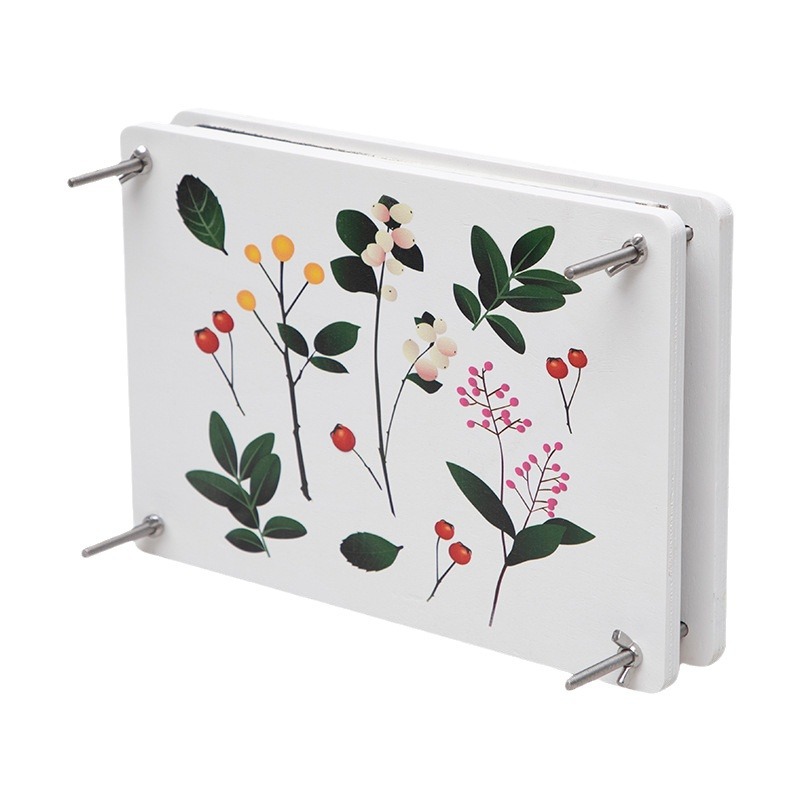Tiktok impresora planta espécimen herramienta de fabricación hecha a mano flor seca rebanadas de fruta hojas secas DIY