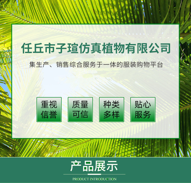 仿真树绿植盆栽散尾葵仿真植物 室内盆景发财假树仿真旅人蕉盆景详情33