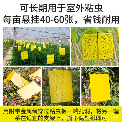 Sticky insect board yellow board double-sided insect trap board sticker kill small flying insects dipped in fruit fly trap orchard mosquitoes fly greenhouse