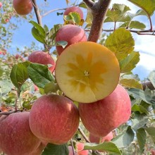 �½������K�������O��ˮ��7�����r�����O��