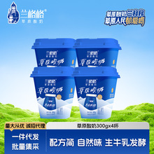 �m�����ɹŞ��m�첼�͜ز�ԭ���ԭζ����300g*4��-���l