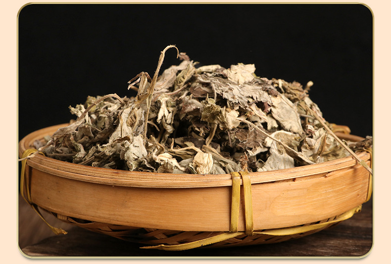 Wild Dried Mugwort Leaves Ai Ye 500g for Foot Soak Bath and Traditional Herbal Care in use