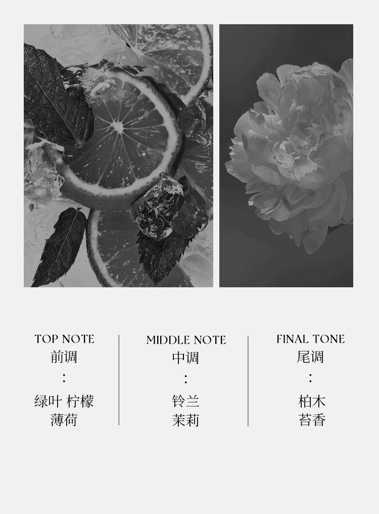 Xiaocheng Yixiang's new men's vanilla perfume has a long-lasting fragrance and is a cross-border export bestseller. Wholesale of Pegasus Cologne perfume undefined