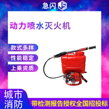 森林消防箱喷水灭火机消防设备细水雾背负式汽油动力高压水雾