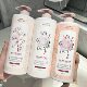 Rose fragrance shampoo oil control fluffy dandruff conditioner body wash suit lasting fragrance genuine goods wholesale