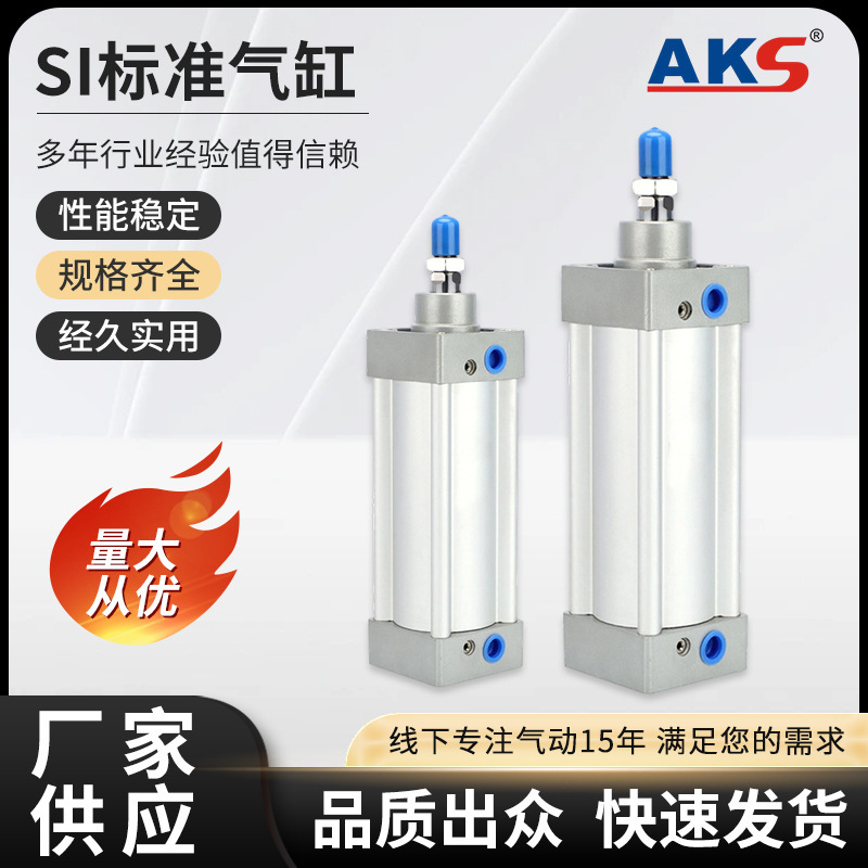 Si/Sgc/Dnu/Dn/Dnb Standard Cylinder with Magnet 32X40X50X63X80X100X125 Double Action Si/Sgc/Dnu/Dn/Dnb Standard Cylinder with Magnet 32X40X50X63X80X100X125 Double Action