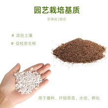 蛭石土多肉营养专用土生根花卉营养育苗播种颗粒土壤调节剂