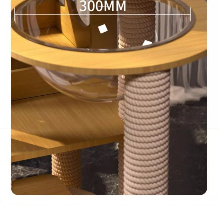 458dea7b-6b14-404b-a115-ca41f3e171a3.jpe