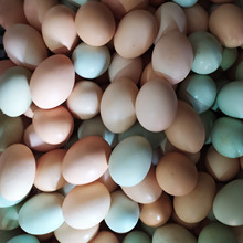 �r�����u�����]ɽ��ɢ�B���r�񵰟o�Ȳ��u�����䳬�����u��