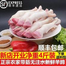 新鲜羊蹄冷冻带筋现杀生鲜火锅烧烤食材清真山羊蹄子羊脚4斤包邮