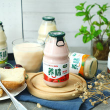 养味牛奶瓶装Yanwee莓香蕉早餐牛奶饮品儿童酸奶乳酸菌饮料网红
