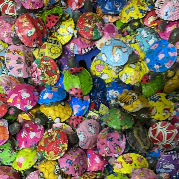ornamental Brazilian Baby Turtle, colorful varieties, painted or original, with/without box
