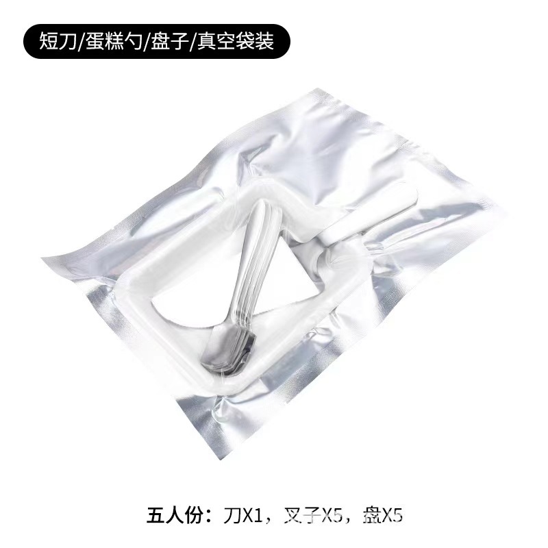 B 스테인레스 스틸 플레이트 5개 포크 5개 칼 1개