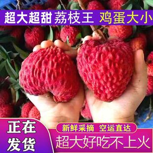 【空运直达】超大超甜荔枝王荔枝王特大巨大号当季新鲜水果一整箱-阿里巴巴