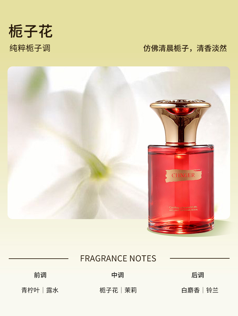 Source Manufacturer of Car Fragrance, High-End Aromatherapy, Air Freshener for Car Interior, Eliminates Odors, Supports Oem/Odm
