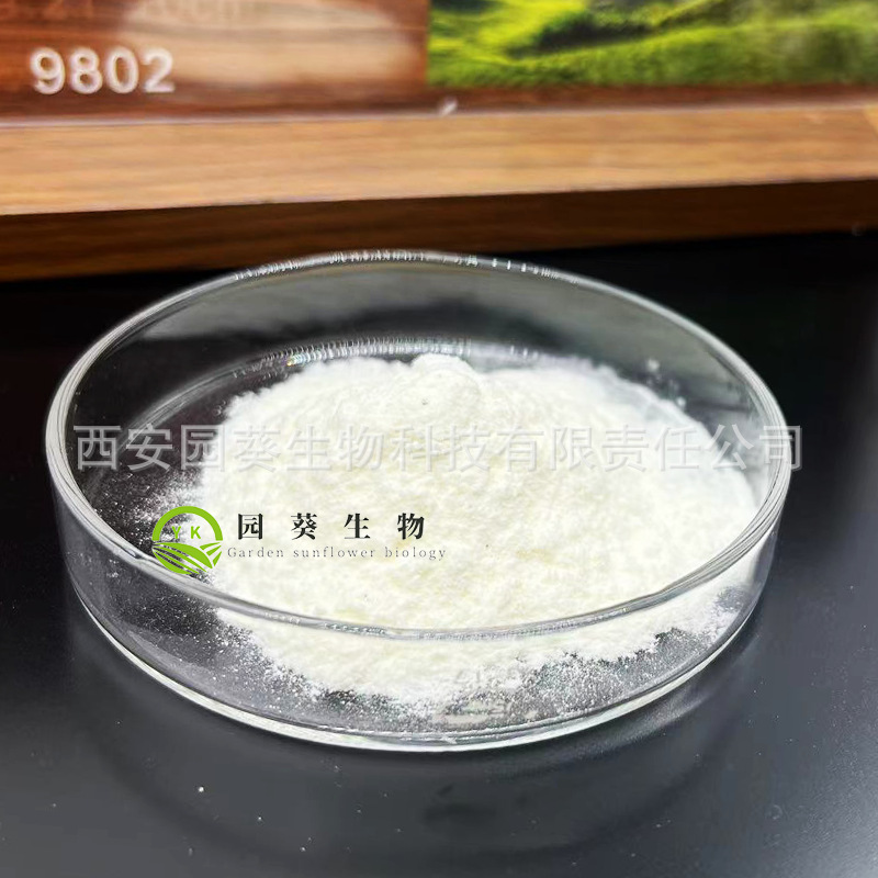 熊去氧胆酸未标题-1-恢复的-恢复的-恢复的-恢复的-恢复的