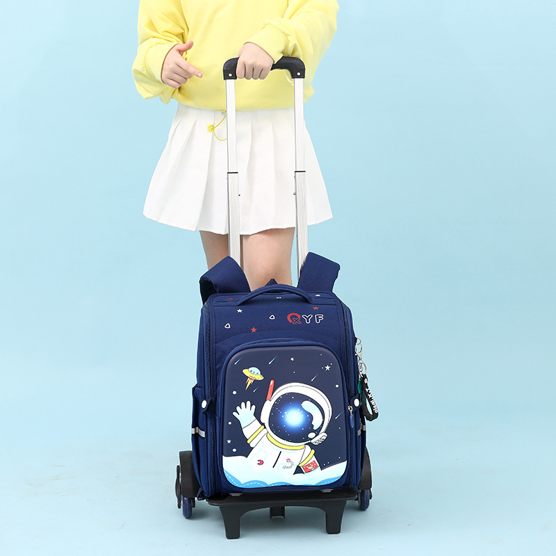 Suitcase, backpack, replacement sleeve, 2023 collection, wholesale