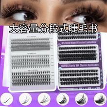 �������nϵ�۶�����Ů�F��ë����Ȼ���ֆδؼٽ�ë�������ֶ��~β