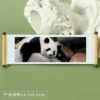 Panda 119