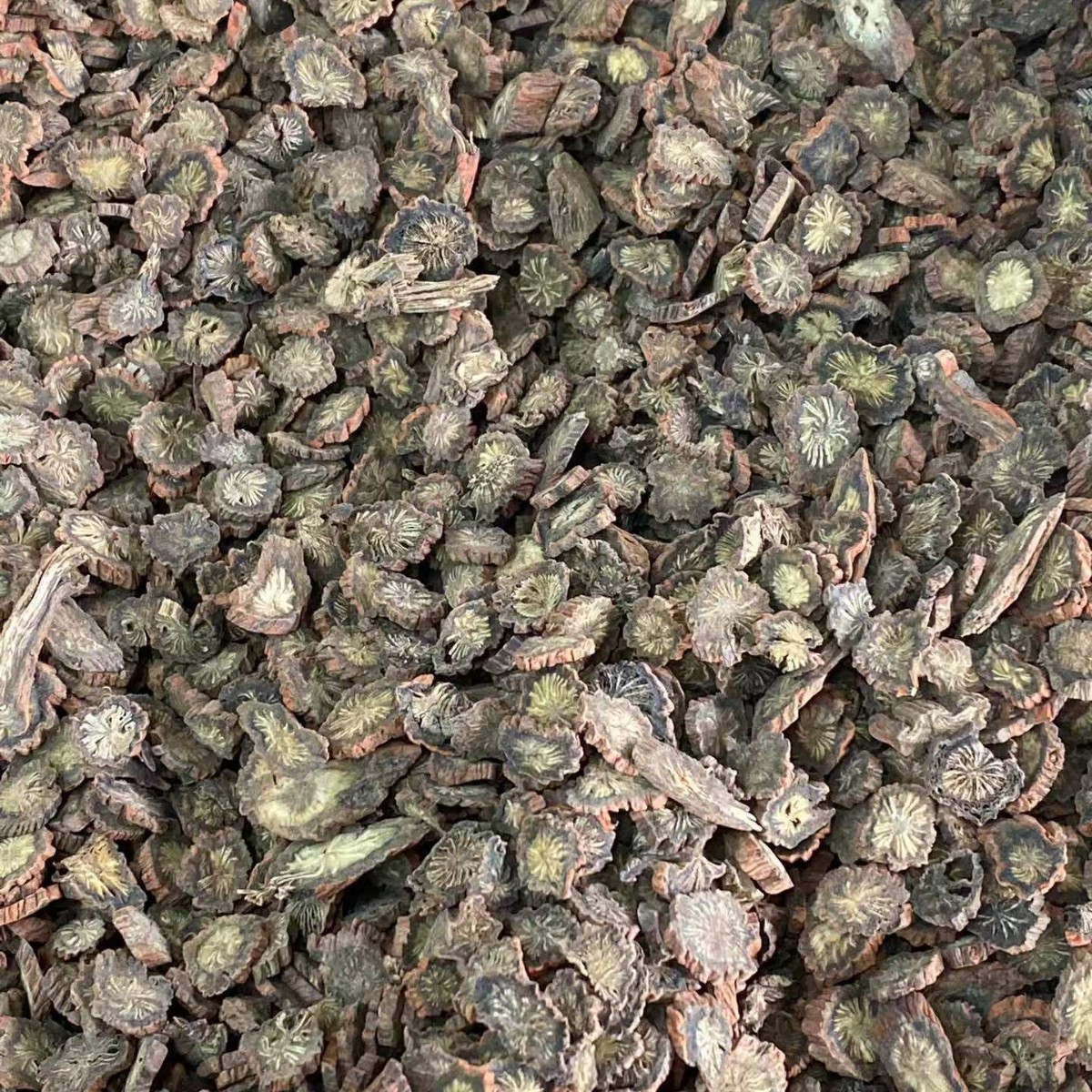 Dried Red Sage Root Slices Dan Shen 500g Traditional Chinese Herb for Cooking and Decoction quality and texture