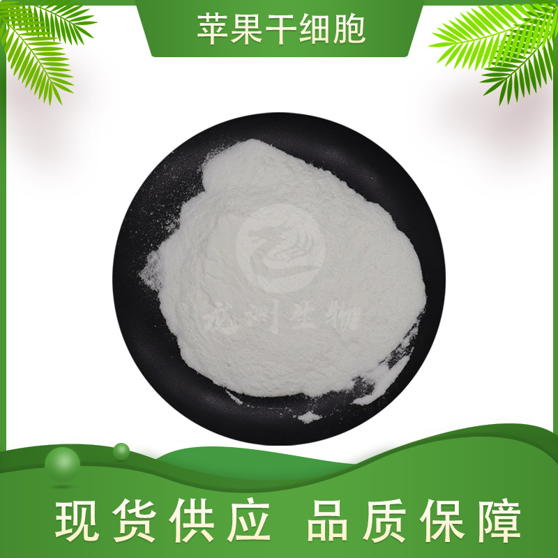 苹果干细胞  龙洲生物 苹果粉 苹果破壁干细胞 500g装 现货