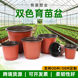 �羳����һ���ԼӺ�I�B�����ϼӺ��pɫ������������طNֲ����P