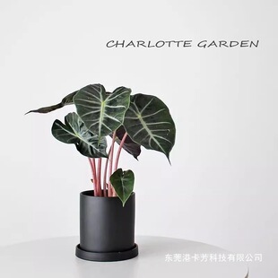 �����ػ��@ ���_������ �҃ȾGֲ���� ���Wins�Lֲ�� �Ҿ��b�