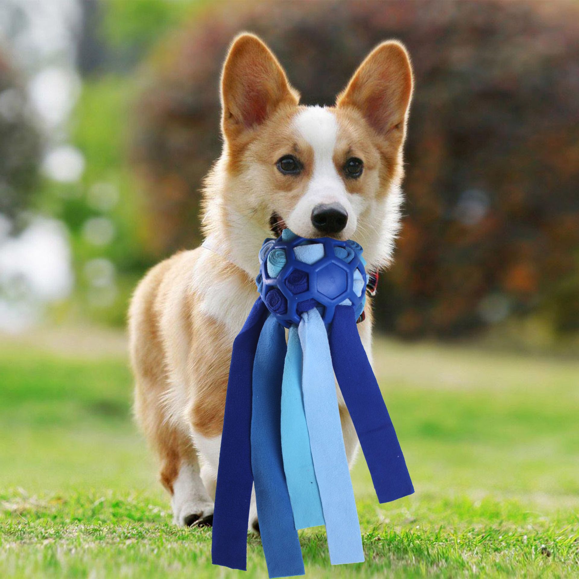 Haustierspielzeug, Schnüffelbälle für Haustiere, Blindbox für das interaktive Training mit Futterleckage für Hunde_voghion.com