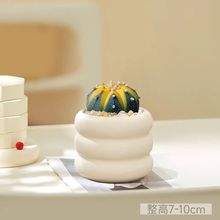 ͥԺ���@�k�����҃����ԾGֲֲ���_��������������X����С