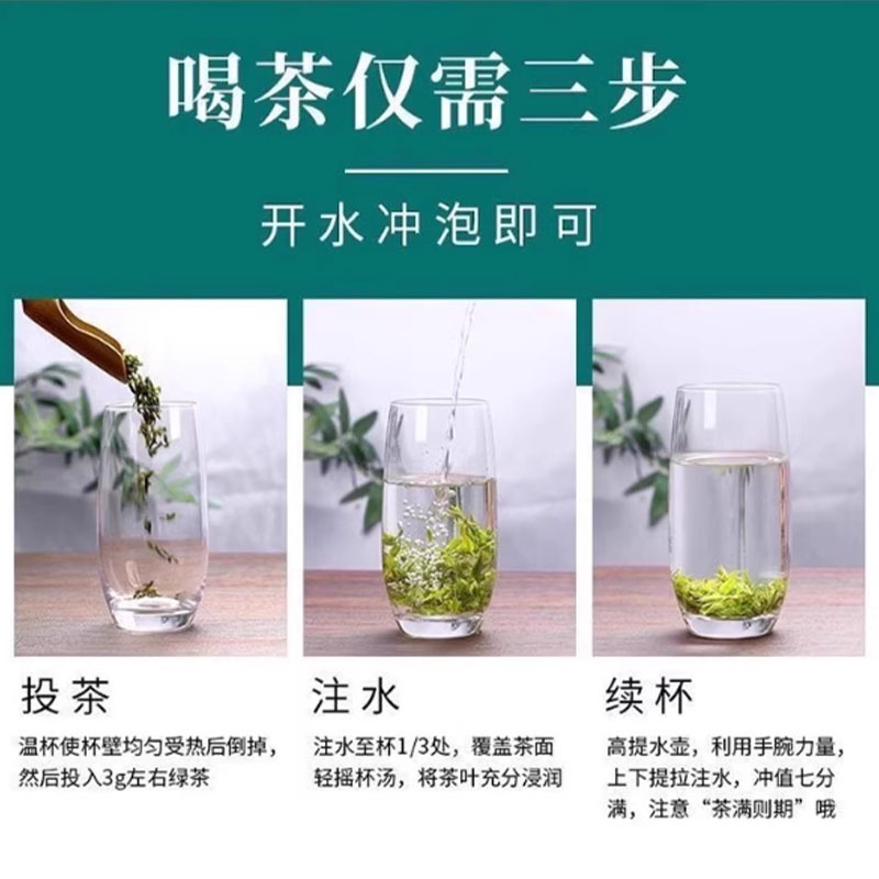 现货批发苦丁茶人工采摘精选无熏无硫无添加苦丁茶支持一件代发LL|undefined