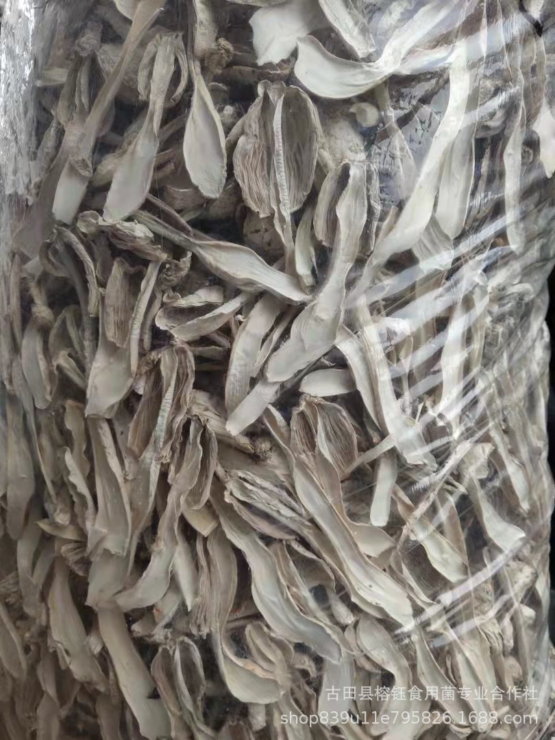 微信图片_20211014142711