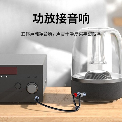 Audio cable 1/2 6.5mm to double lotus red and white audio RCA cable mobile phone computer speaker input conversion cable