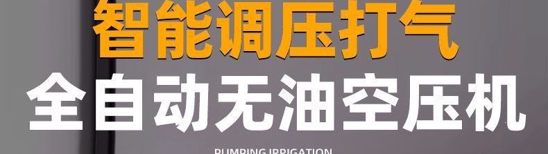 Air compressor, small 220v portable industrial-grade woodworking silent high-pressure air pump