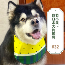 ���Q���R�d ins��ͨ�SɫС���� ��С�P����ˮ�Ӻ�������ɪ{