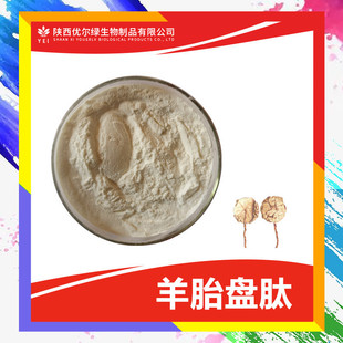 ��̥�P��99% 800�����D ������̥�PС������ �;��� �����G ��̥