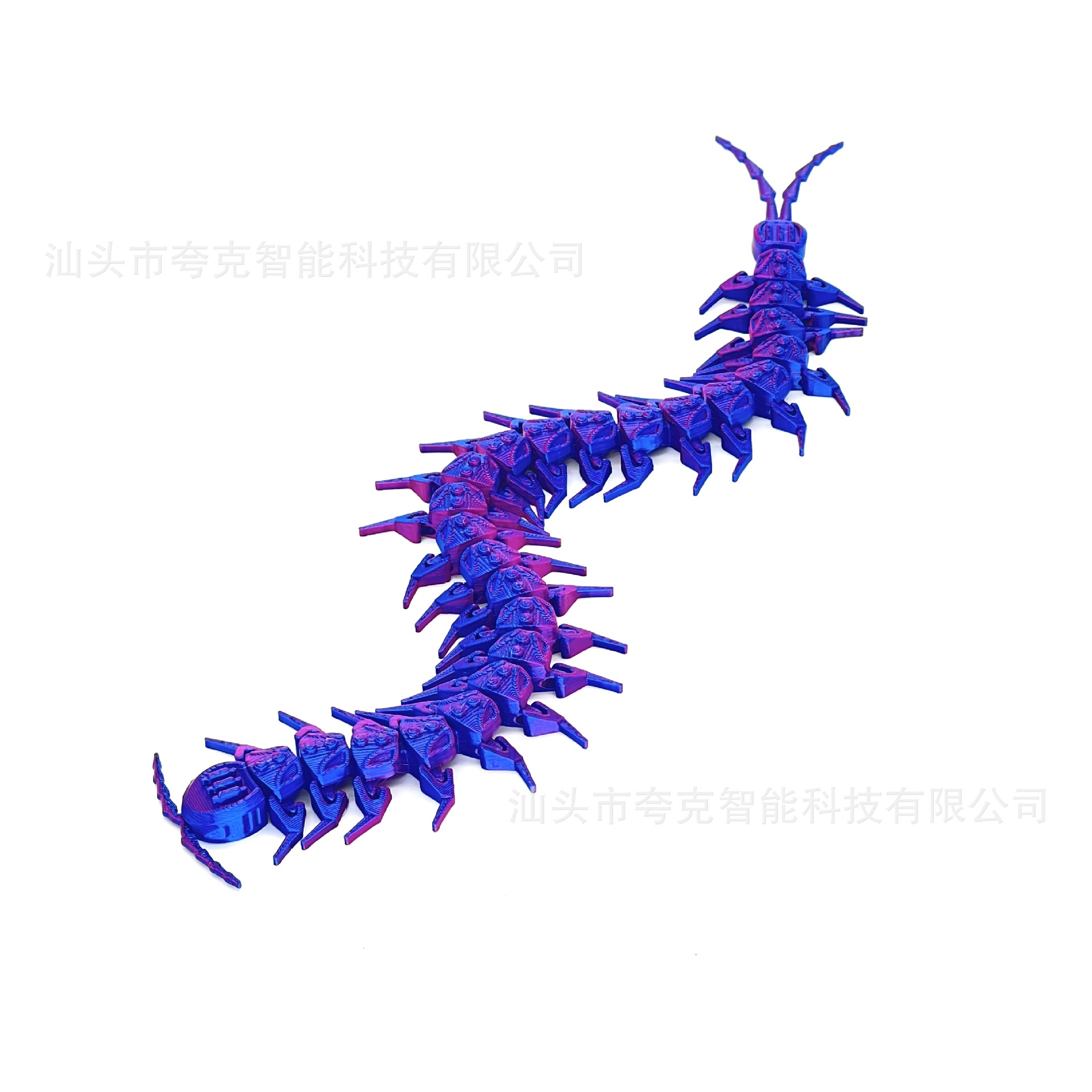 블루와 퍼플 28cm [레이저백]