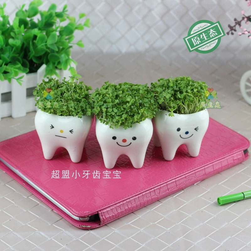 Оригинальный экологический DIY микропейзаж соломенная кукла керамические поделки мясистые горшечные украшения для домашнего офиса