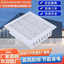 投光灯;防爆灯;路灯