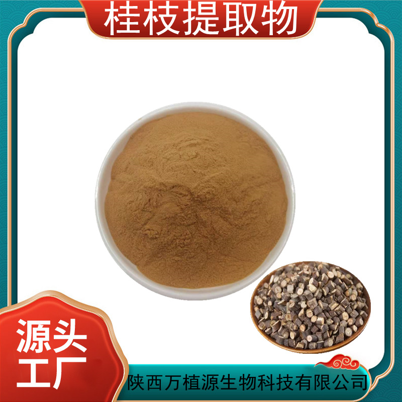 桂枝提取物10:1 水溶性桂枝原料粉 肉桂枝提取 厂家现货 免费拿样