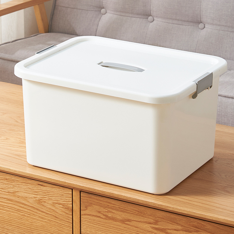 Handheld plastic storage box