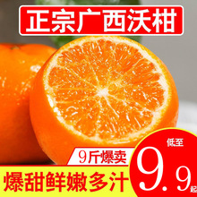 一件代發廣西沃柑鮮甜多汁砂糖橘橘子新鮮水果批發薄皮桔子甜沃柑