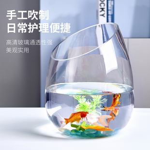 Office Small Fish Tank Thickeneded Transparent Glass Turtle Tank Living Room Home Desktop Round Oblique Mouth Small Jin Shenheng