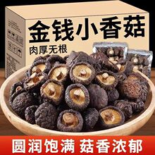 26新货古田金钱菇干货小香菇菌菇干煲汤炒菜食材袋装菌菇源头批发