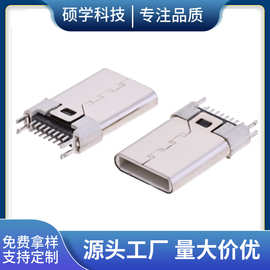厂家现货TYPE-C 16PIN公头 立贴11.9双排鱼叉脚白胶