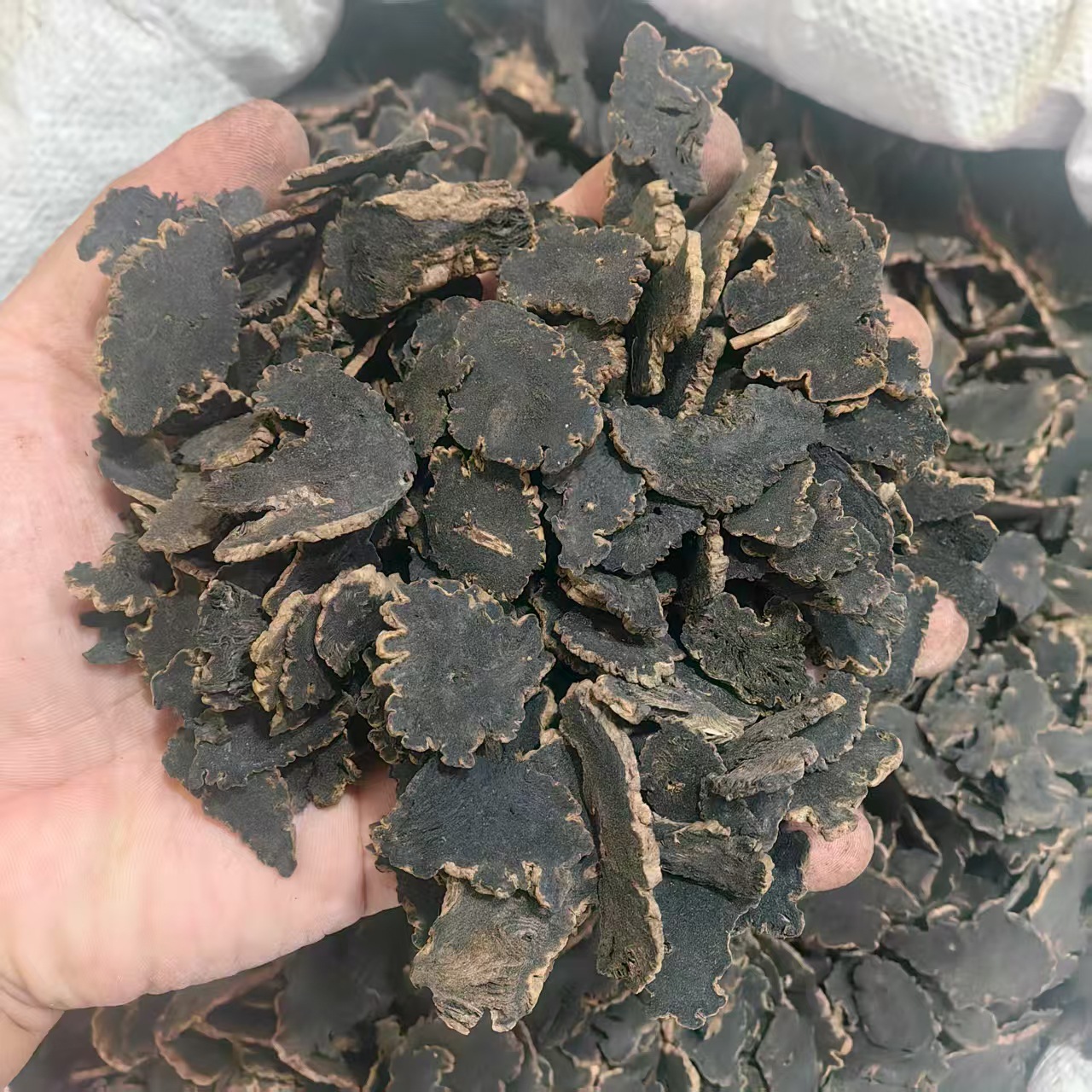 Xuan Shen Figwort Root Powder 500g Traditional Chinese Herb Scrophularia ningpoensis key features